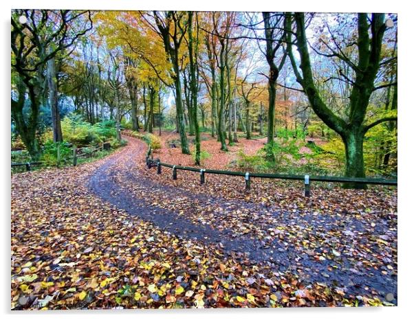 Winding path through Autumn Woodland Acrylic by Gemma De Cet