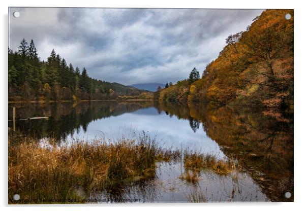 Reflective Loch Ard in Autumn 1 Acrylic by Neil McKellar
