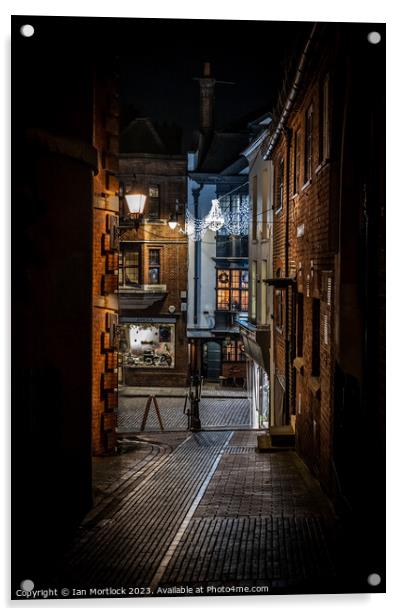 Bricks and cobbles along the street Acrylic by Ian Mortlock