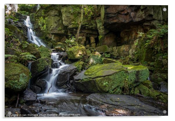 Lumsdale Falls  Acrylic by Ian Mortlock