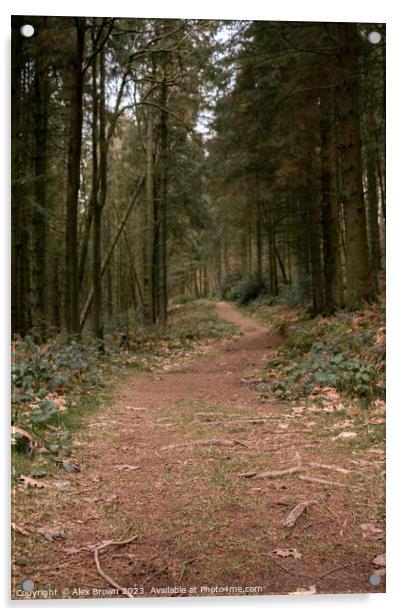 Path through the woods Acrylic by Alex Brown