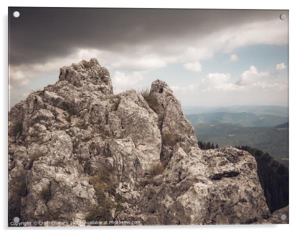 Beautiful landscape in Carpathian Mountains. Acrylic by Cristi Croitoru