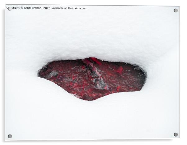 Beneath the  snow Acrylic by Cristi Croitoru