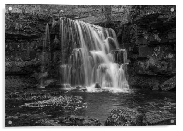 East Gill Force Acrylic by Steve Smith