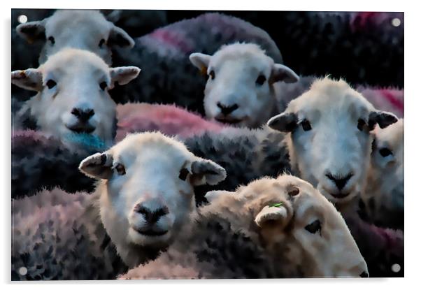 Flock Of Herdwicks Acrylic by Steve Smith