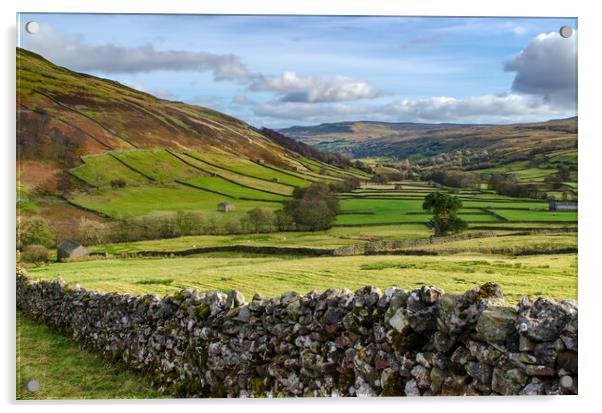 Swaledale At It's Best Acrylic by Steve Smith