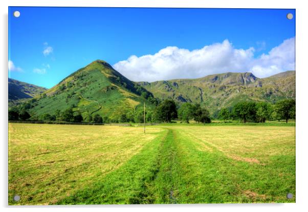 High Hartsop Dodd Acrylic by Steve Smith