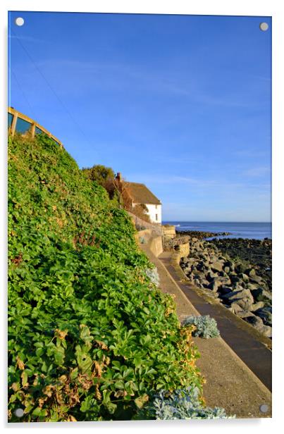 Runswick Bay North Yorkshire Acrylic by Steve Smith