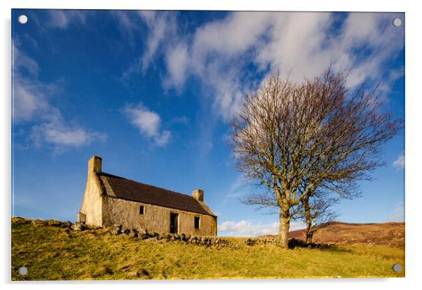 Scottish Croft Acrylic by Steve Smith