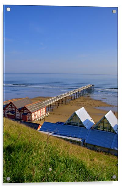 Saltburn By The Sea Pier Acrylic by Steve Smith