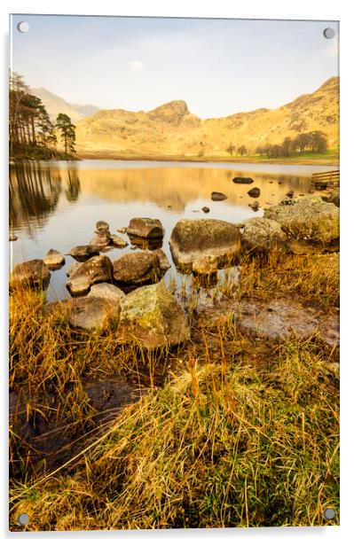 Blea Tarn Acrylic by Steve Smith