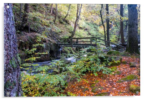 Enchanting Padley Gorge in Derbyshire Acrylic by Steve Smith