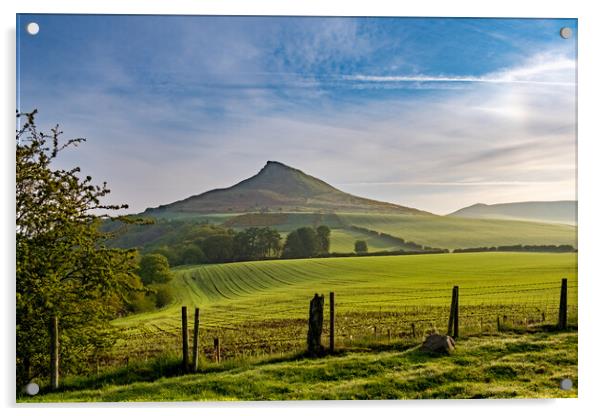 Roseberry Topping: Iconic Views Await Acrylic by Steve Smith