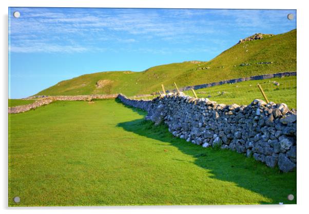 Malham Views Acrylic by Steve Smith