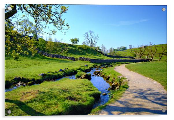 Malham Beck Acrylic by Steve Smith