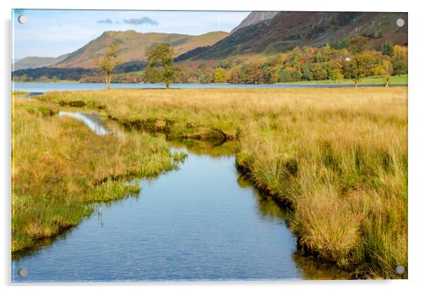 Buttermere Lake District Acrylic by Steve Smith