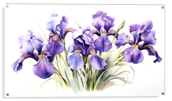 Watercolour Irises Acrylic by Steve Smith
