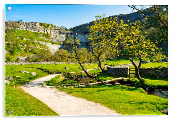 Malham Cove Acrylic by Steve Smith