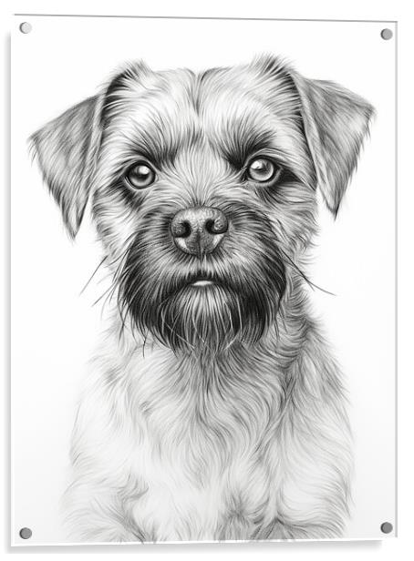 Pencil Drawing Border Terrier Acrylic by Steve Smith