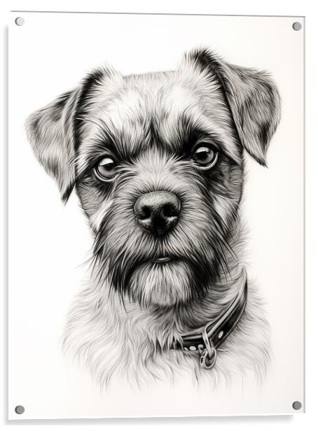 Pencil Drawing Border Terrier Acrylic by Steve Smith