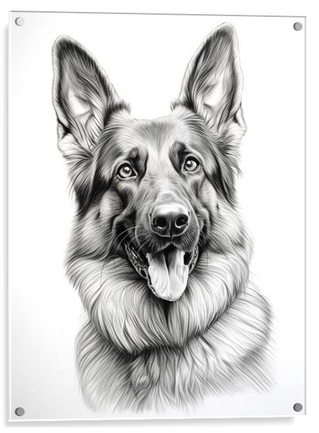 Pencil Drawing German Shepherd Acrylic by Steve Smith