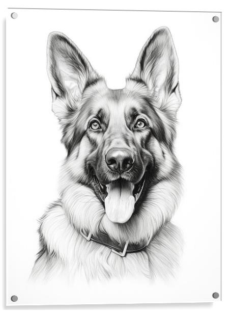 Pencil Drawing German Shepherd Acrylic by Steve Smith