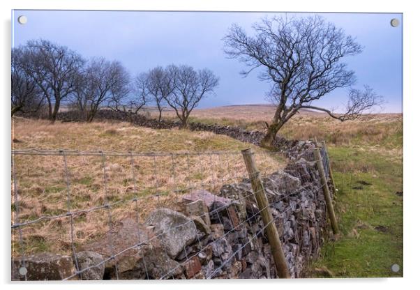 Ribblehead Stone Wall Acrylic by Steve Smith