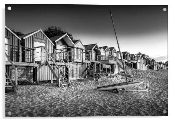Abersoch Black and White Acrylic by Tim Hill