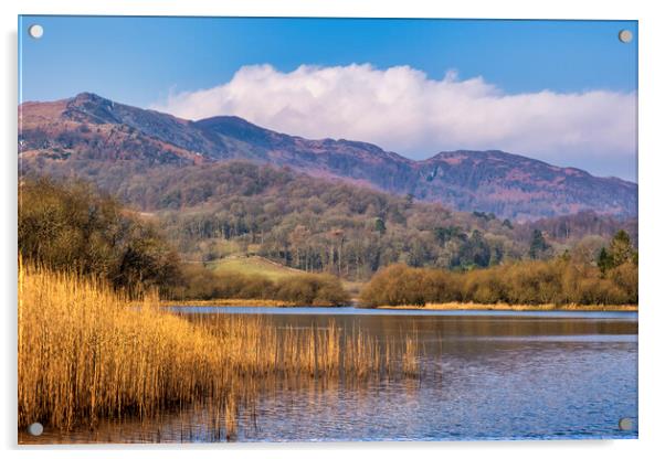 Elterwater Lake District National Park Acrylic by Tim Hill