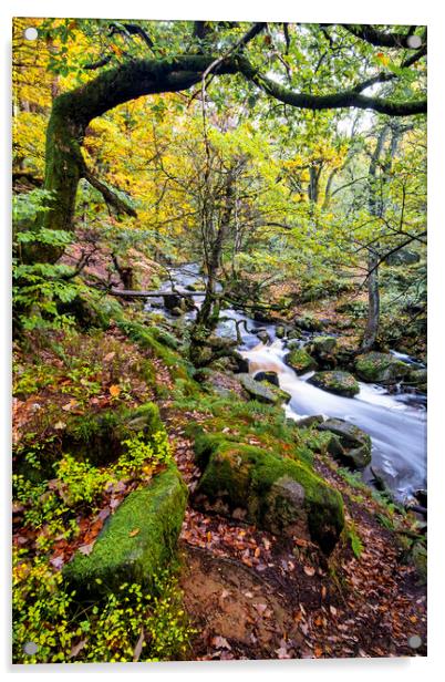 Burbage Brook Padley Gorge Acrylic by Tim Hill