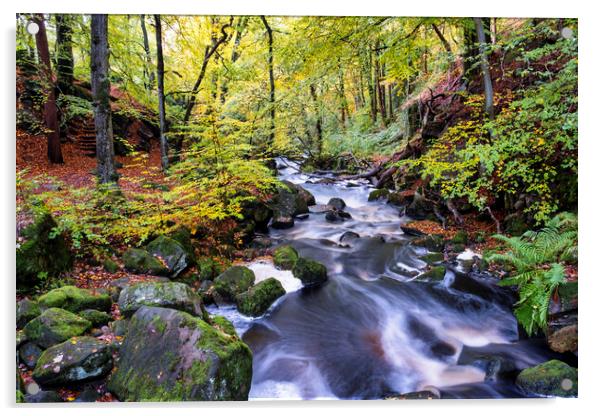 Padley Gorge In Autumn Acrylic by Tim Hill