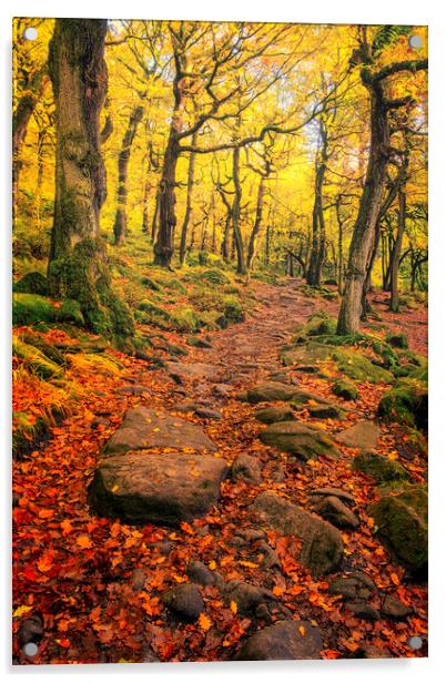 Padley Gorge Autumn Woodland Acrylic by Tim Hill