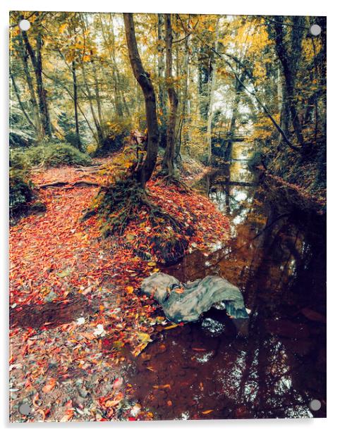 Enchanting Autumn Woodland Wonderland Acrylic by Tim Hill