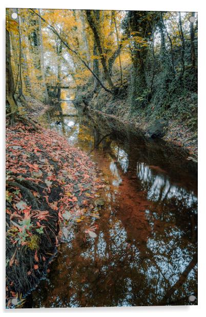Knaresborough Woodland in Autumn Acrylic by Tim Hill