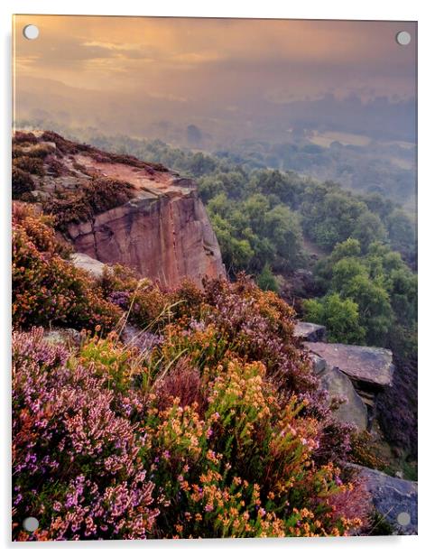 Majestic Sunrise Over Heather Acrylic by Tim Hill