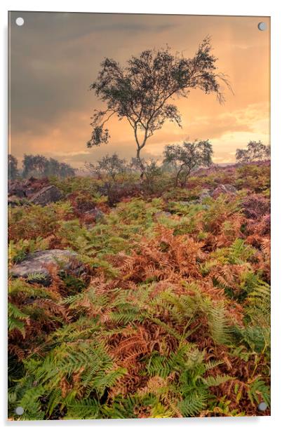 Surprise View Peak District Acrylic by Tim Hill