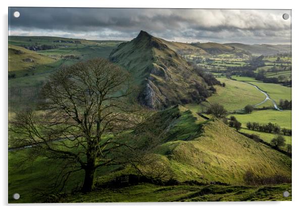 Chrome Hill Lone Tree ~ Derbyshire Peak District Acrylic by Tim Hill