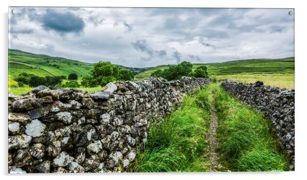 Dry Stone Walls to Malham Cove Acrylic by Tim Hill