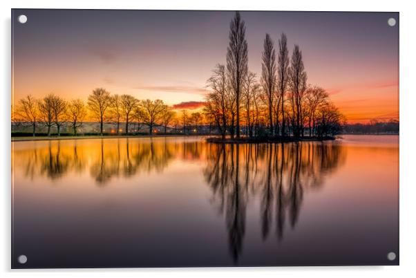 Pontefract Park Lake, West Yorkshire Acrylic by Tim Hill