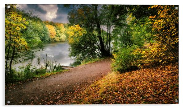 Moody Newmillerdam Wakefield Acrylic by Tim Hill