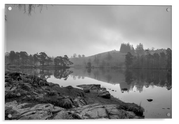 Tranquil Beauty at Tarn Hows Acrylic by Tim Hill