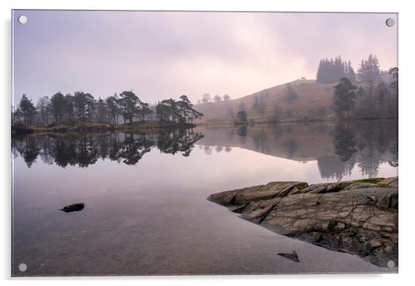Daybreak at Tarn Hows Acrylic by Tim Hill