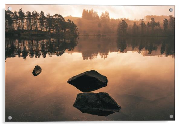 Tarn Hows Sunrise Acrylic by Tim Hill