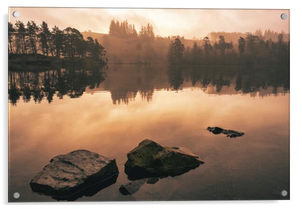 Serene Reflections at Tarn Hows Acrylic by Tim Hill