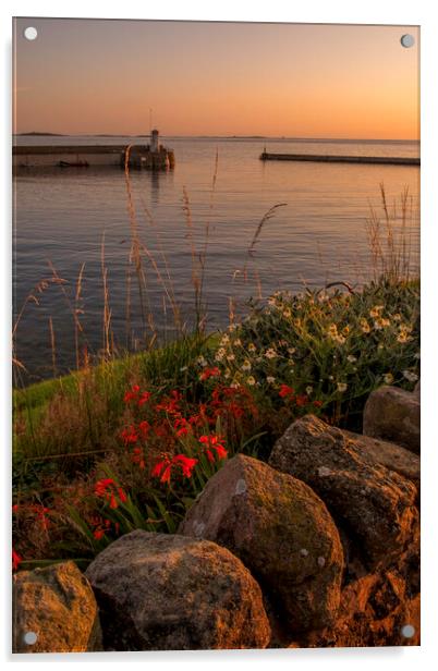  Seahouses looking towards the Farnes Acrylic by Tim Hill