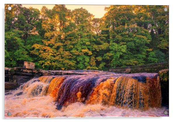 Majestic Richmond Falls Acrylic by Tim Hill