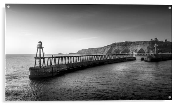 Whitby Pier Black and White Acrylic by Tim Hill