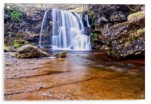 East Gill Force Swaledale Acrylic by Tim Hill