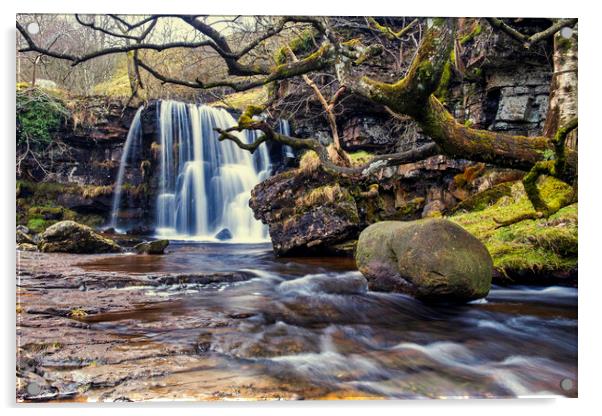 Majestic East Gill Force Waterfall Acrylic by Tim Hill