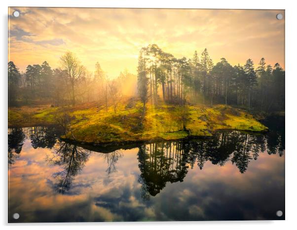 Misty Sunrise at Tarn Hows Acrylic by Tim Hill